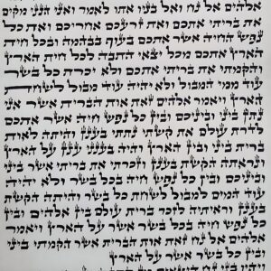 ספר תורה אשכנזי כתב הארי  48 סמ – “שבו”