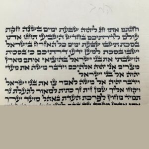 ספר תורה כתב אשכנזי בית יוסף מהדרין מן המהדרין 48 ס”מ – “נופך”