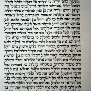 ספר תורה אשכנזי מהודר כתב הארי 48 ס”מ – “תרשיש”